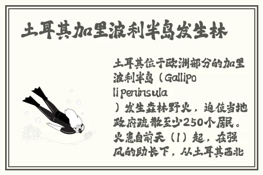 小小的水蜜桃